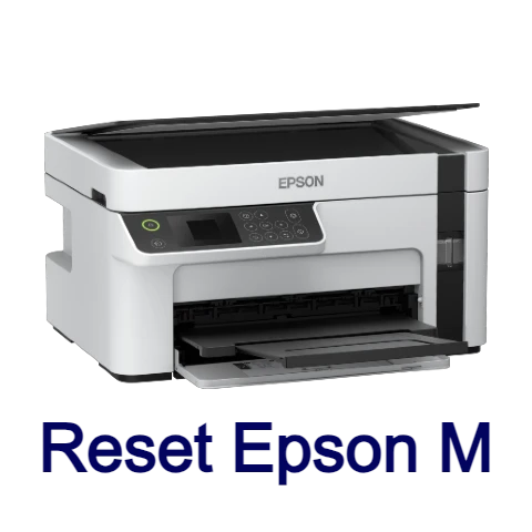 Epson Ms